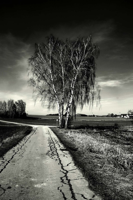 Фотографія Дорога в невідоме / Олексій Мосейко / photographers.ua