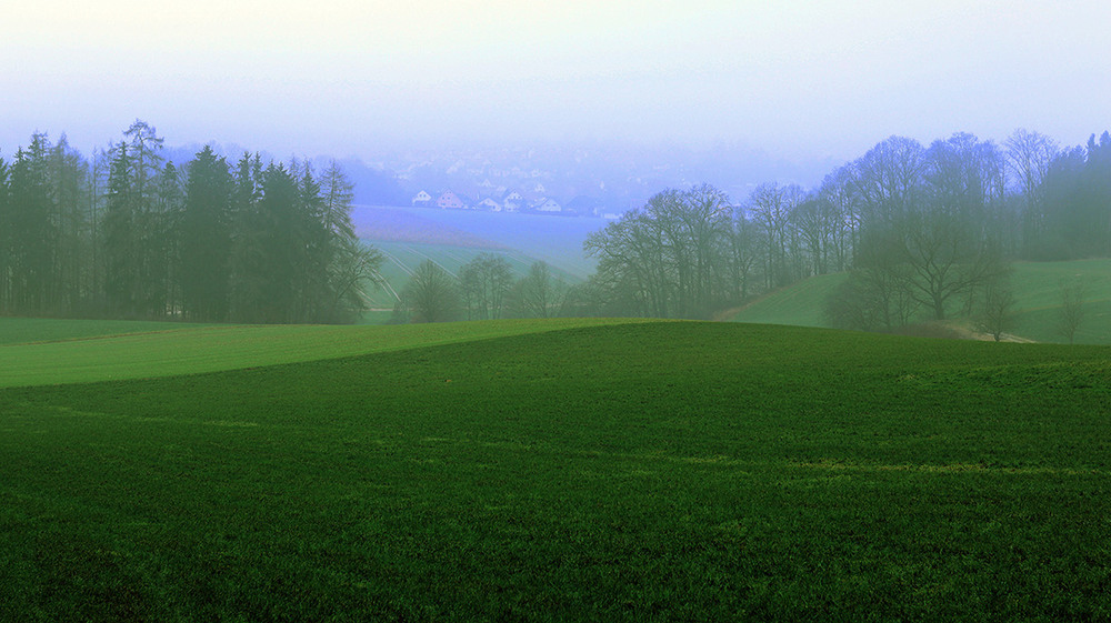 Фотографія *** / Олексій Мосейко / photographers.ua