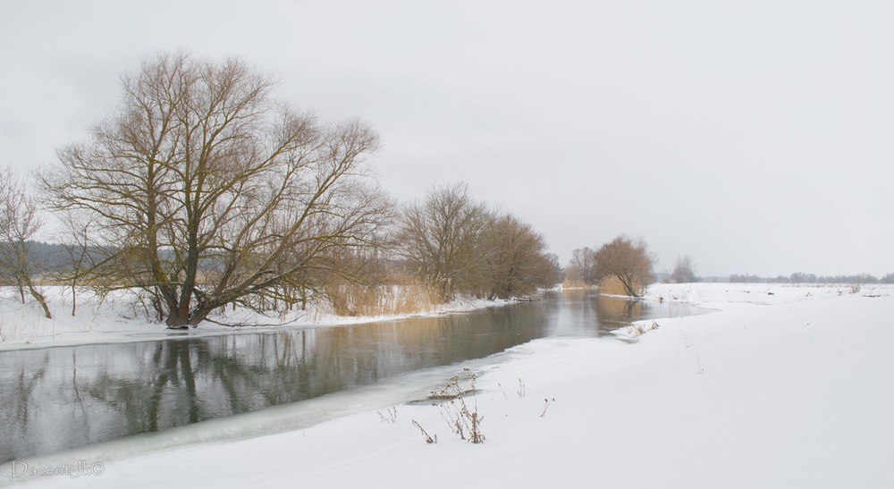 Фотографія Зимові барви лютого... / dacentjk / photographers.ua