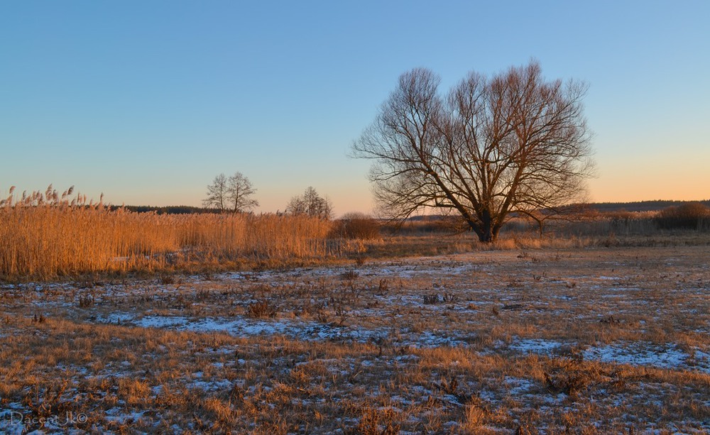 Фотографія Середина зимы.. / dacentjk / photographers.ua