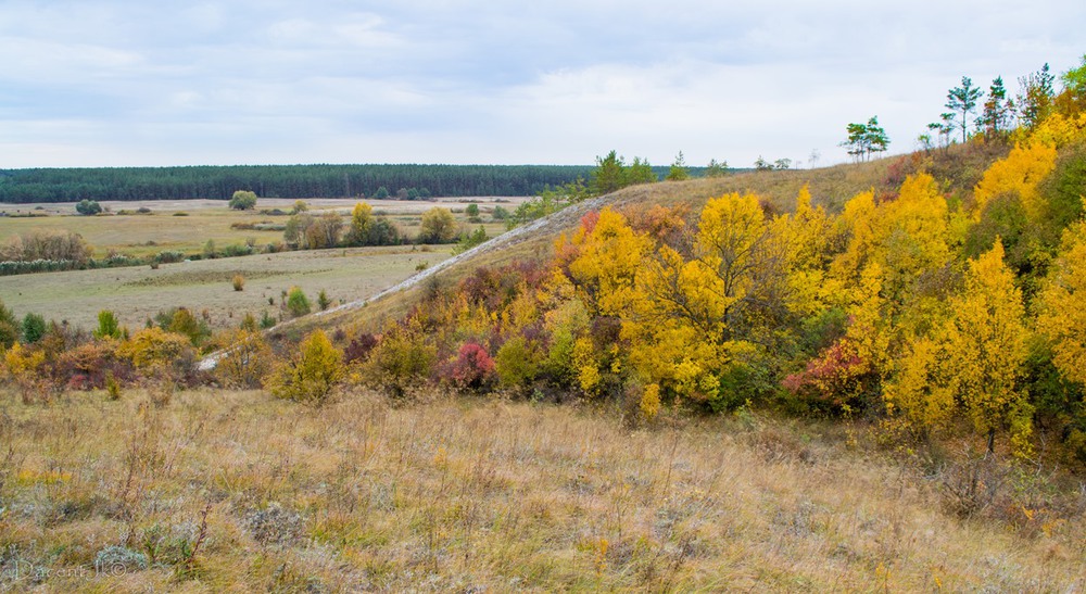 Фотографія Теплі кольори чарівної осені / dacentjk / photographers.ua