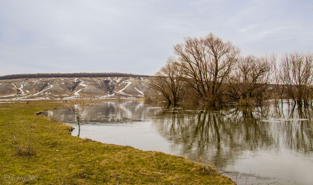 Фотографія Весняний Оскіл (або 20 см до розливу...) / dacentjk / photographers.ua