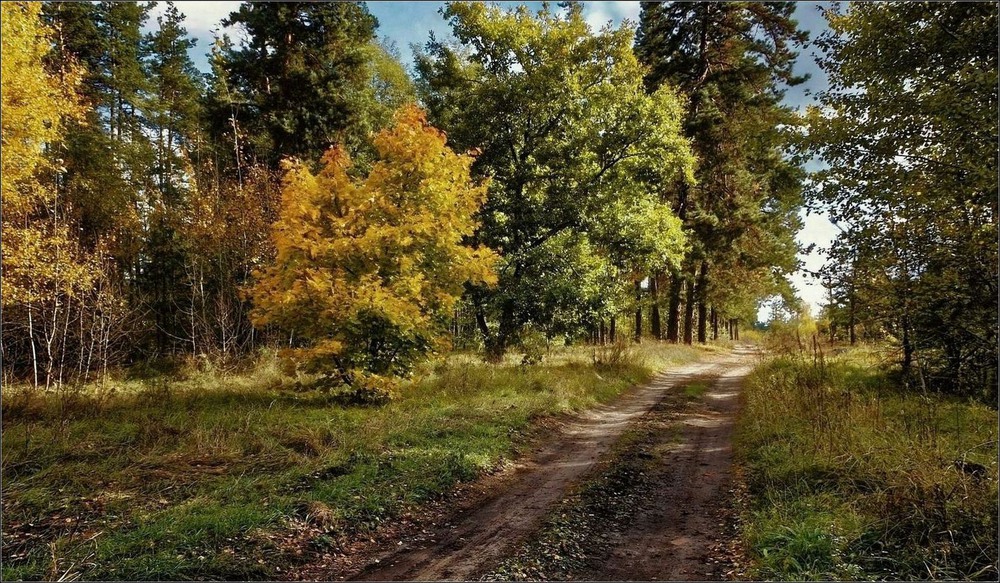 Фотографія Листает осень разноцветный календарь / Ирина Falcone / photographers.ua
