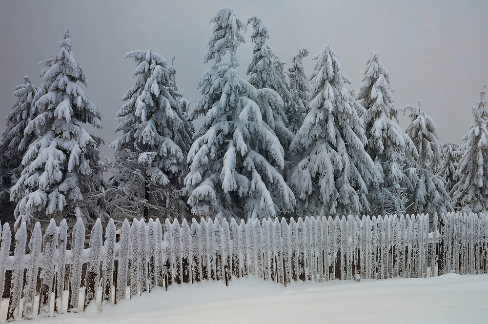 Фотографія Заметает зима , заметает ... / Vitaliy Kazka / photographers.ua
