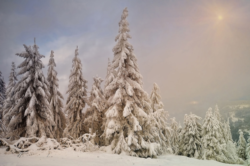 Фотографія Мороз и солнце; день чудесный! / Vitaliy Kazka / photographers.ua