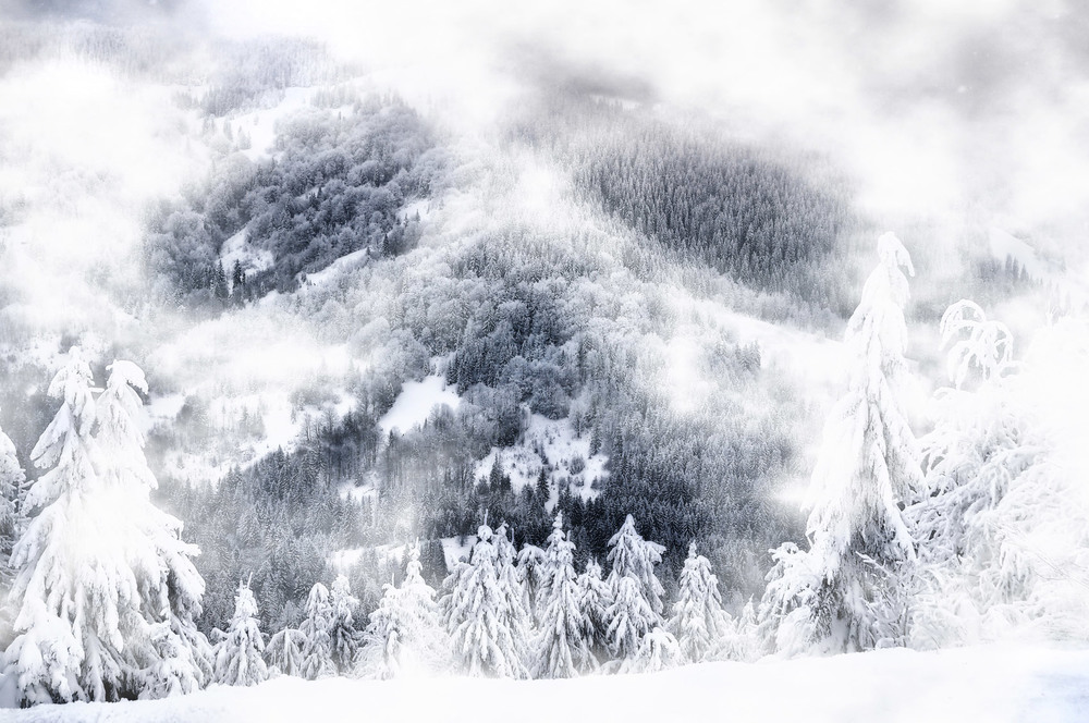 Фотографія Привидения зимнего леса ... / Vitaliy Kazka / photographers.ua
