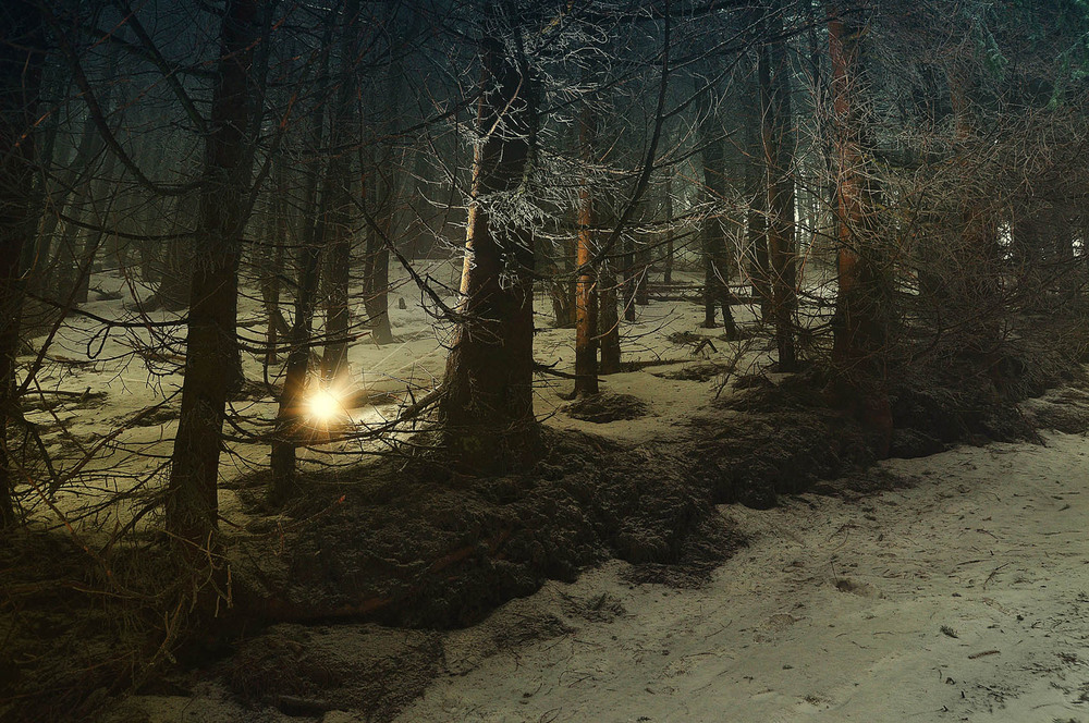 Фотографія Загублене в холодному лісі ... / Vitaliy Kazka / photographers.ua