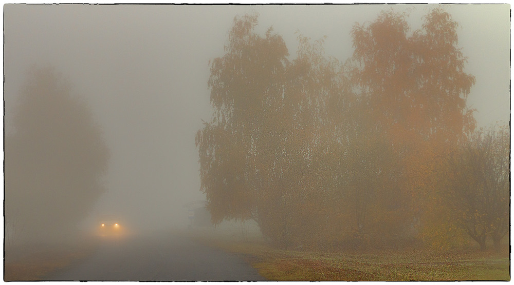 Фотографія Осінній ранок виплива з туману... / Володимир Григор / photographers.ua