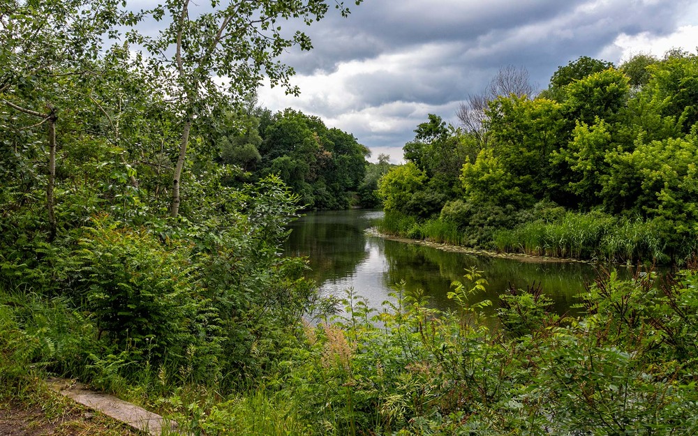 Фотографія Пейзаж / Володимир Григор / photographers.ua