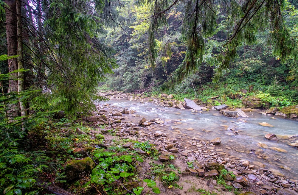 Фотографія Прутець Чемигівський. / Володимир Григор / photographers.ua