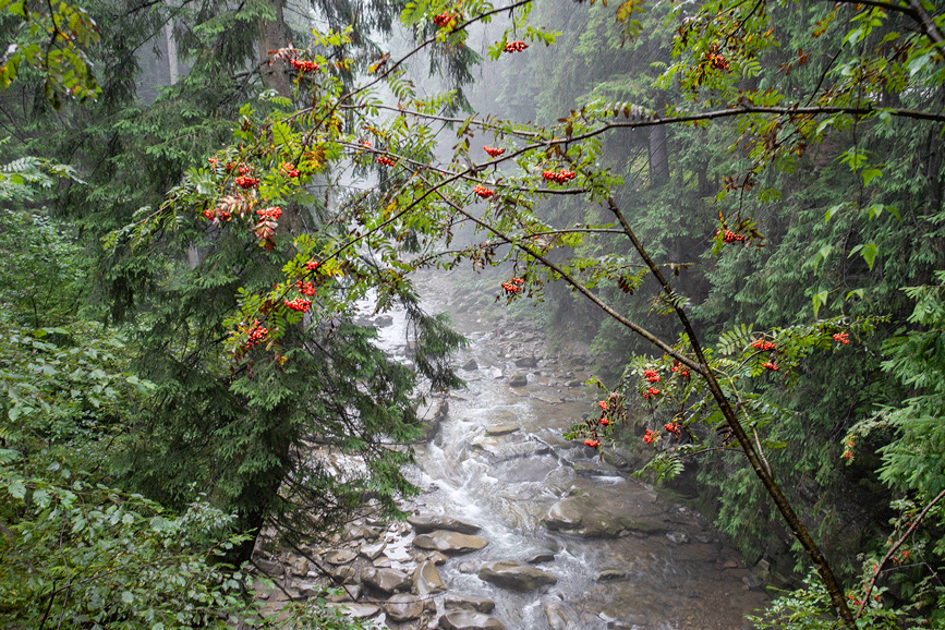 Фотографія Пейзаж / Володимир Григор / photographers.ua