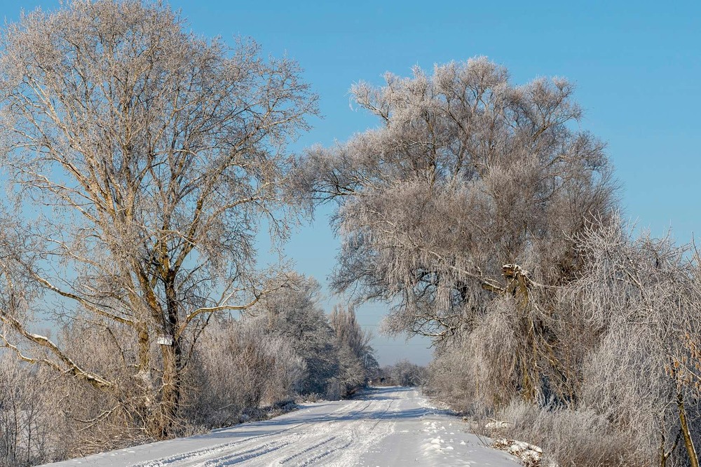Фотографія Пейзаж / Володимир Григор / photographers.ua