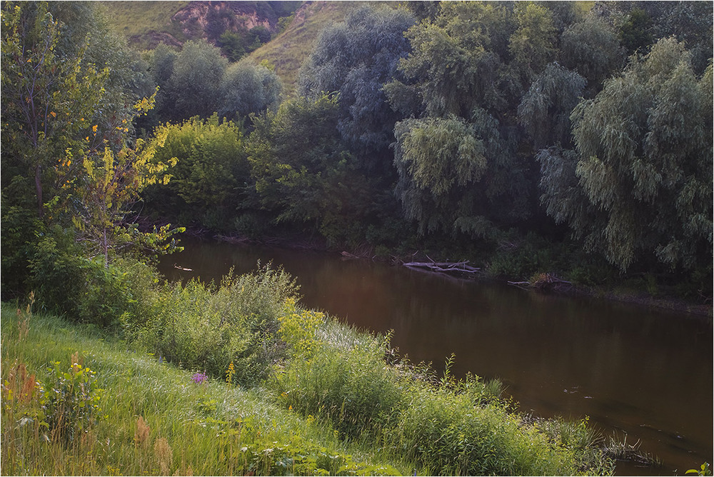 Фотографія Просто річка Псьол у Полтавській області / Володимир Григор / photographers.ua