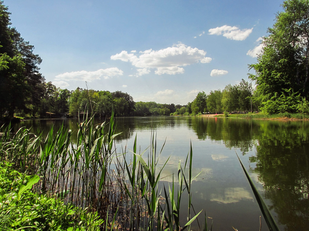 Фотографія Влітку, на озері / Антоніна Вознюк / photographers.ua