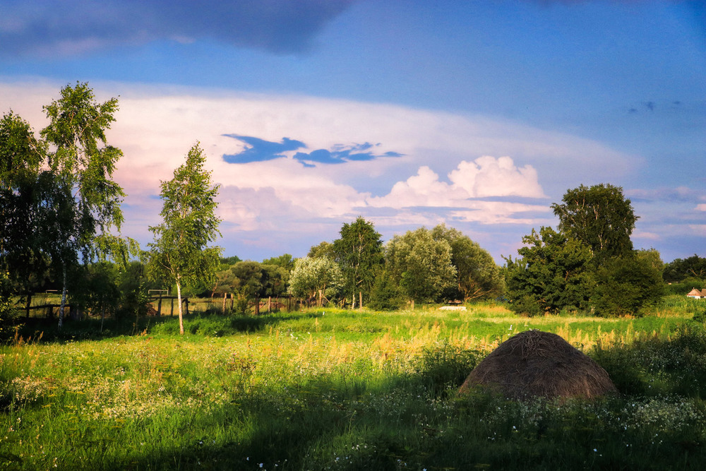 Фотографія Серпневий вечір / Антоніна Вознюк / photographers.ua