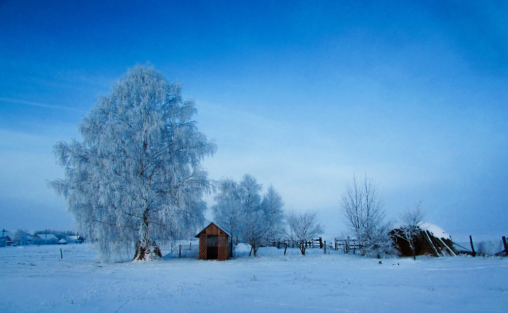 Фотографія Зимова казка / Антоніна Вознюк / photographers.ua