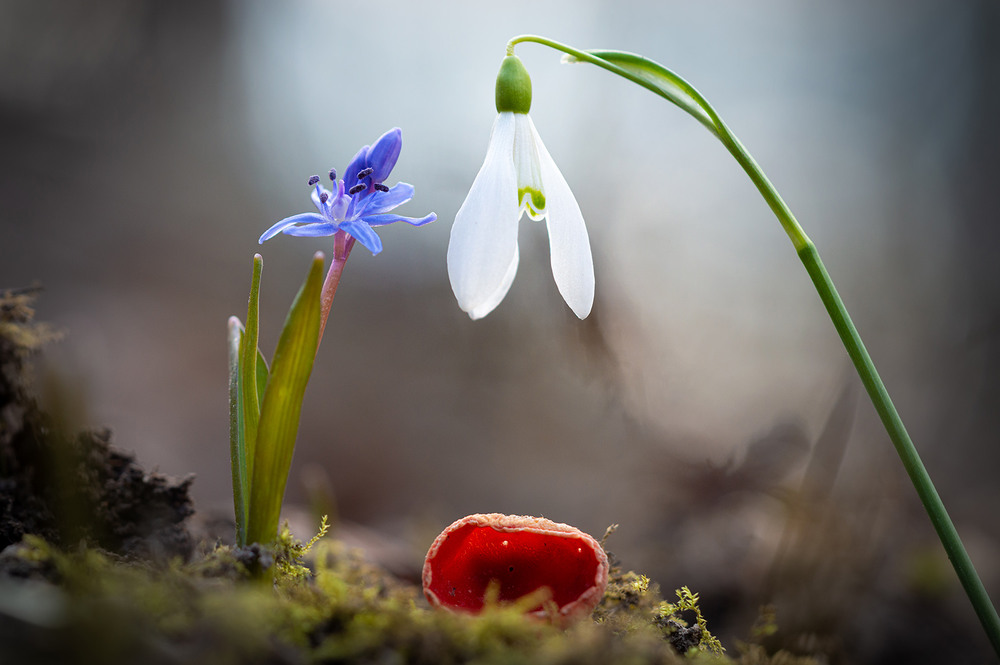 Фотографія *** / Юрій Стороженко / photographers.ua