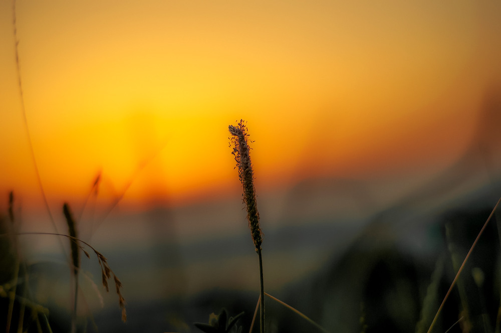 Фотографія Разное / Олександр Семен / photographers.ua