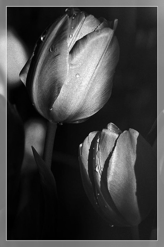 Фотографія Разное / Олександр Семен / photographers.ua