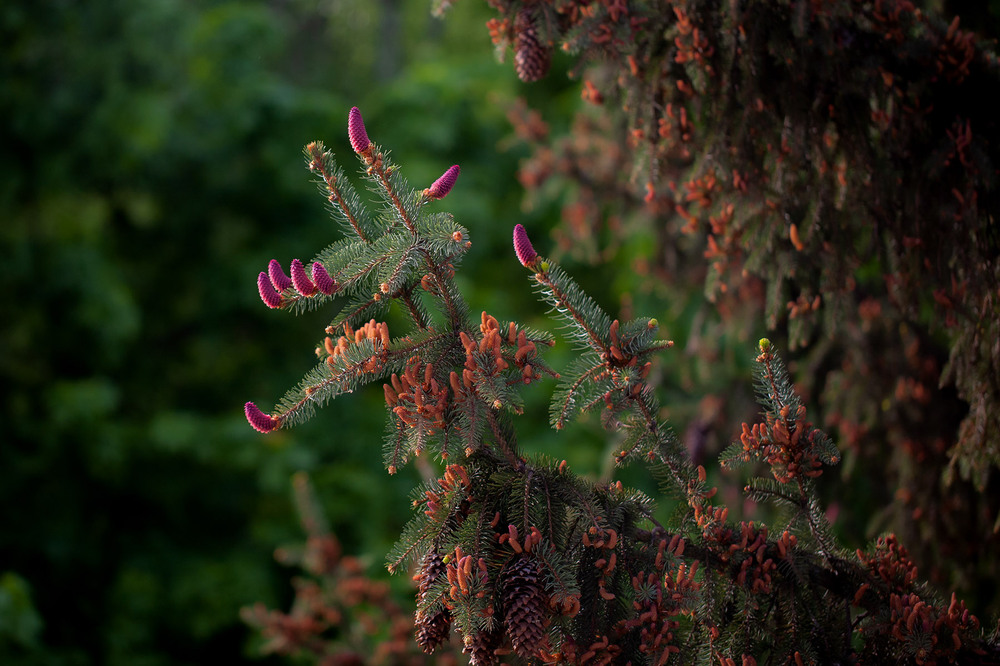 Фотографія Вигляд з балкону ) / Олександр Семен / photographers.ua