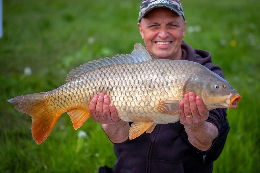Фотографія Разное / Олександр Семен / photographers.ua