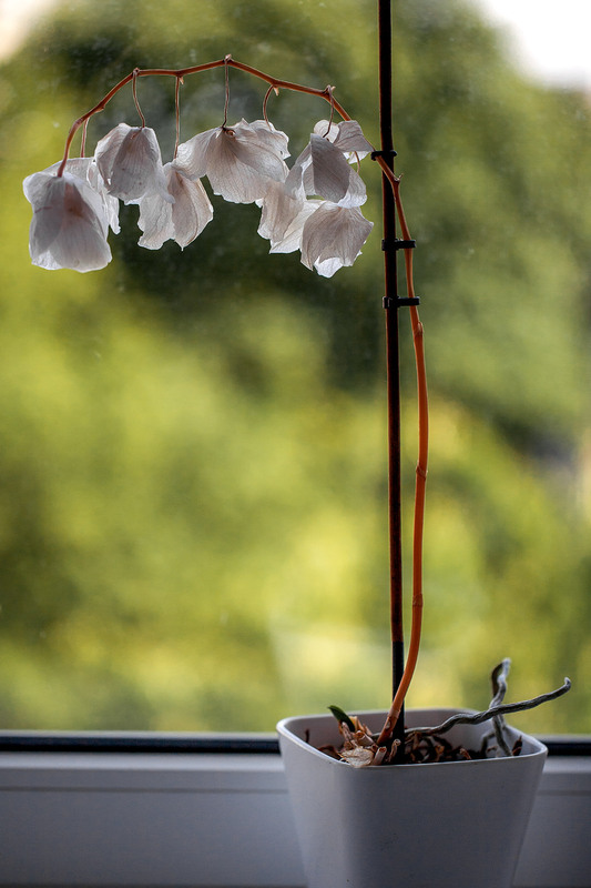 Фотографія Разное / Олександр Семен / photographers.ua