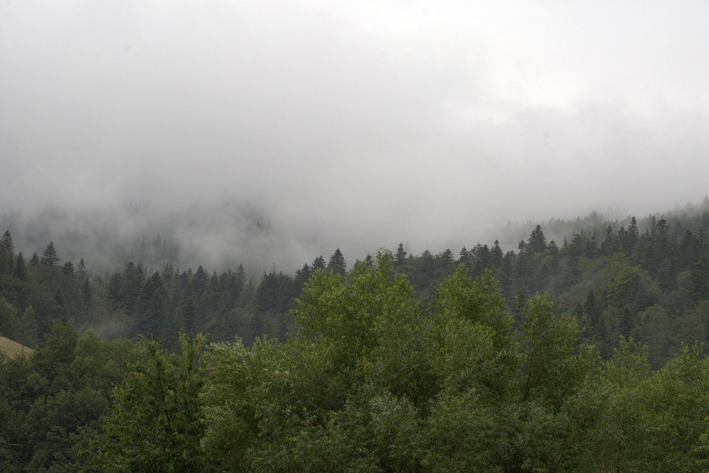 Фотографія Разное / Олександр Семен / photographers.ua