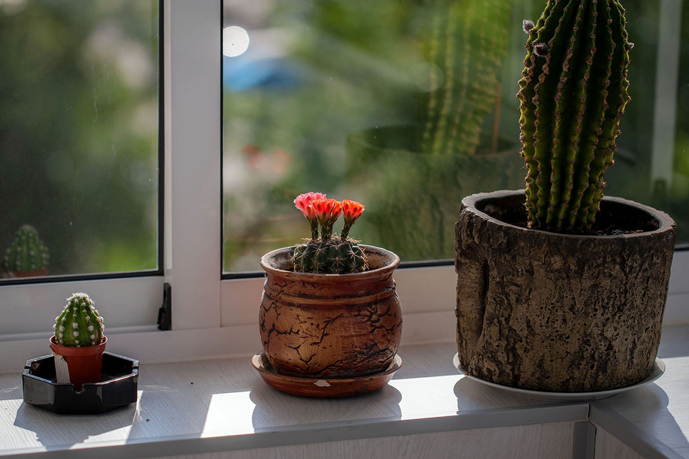 Фотографія Разное / Олександр Семен / photographers.ua