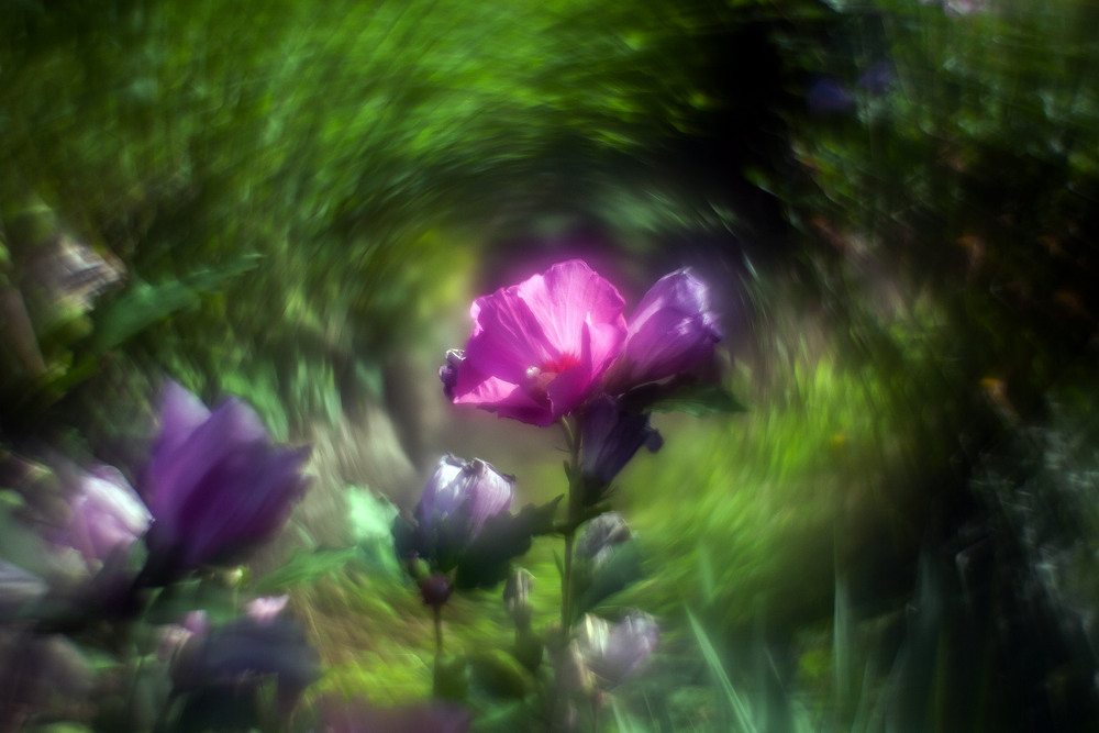 Фотографія Разное / Олександр Семен / photographers.ua