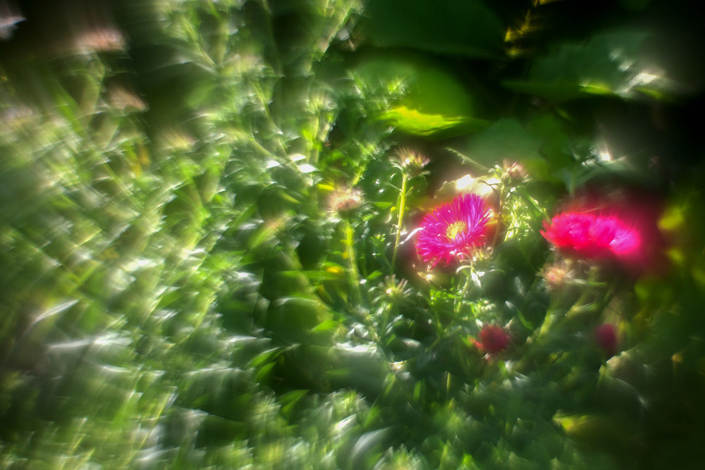 Фотографія Разное / Олександр Семен / photographers.ua