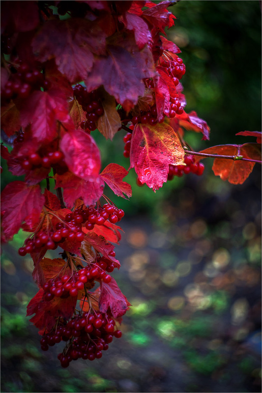 Фотографія Разное / Олександр Семен / photographers.ua