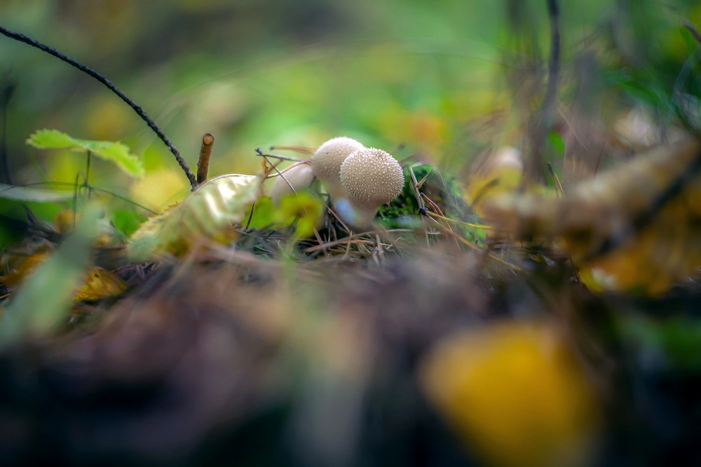 Фотографія Разное / Олександр Семен / photographers.ua