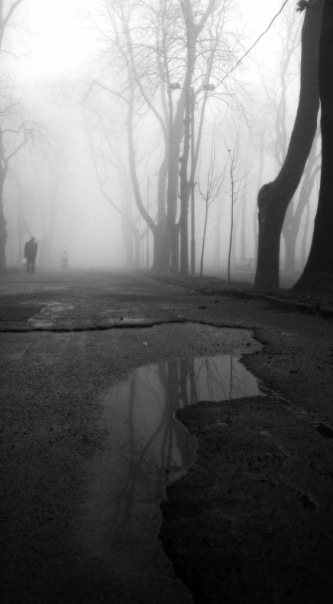Фотографія Туман сховає мене в цьому місті / scatter brained / photographers.ua