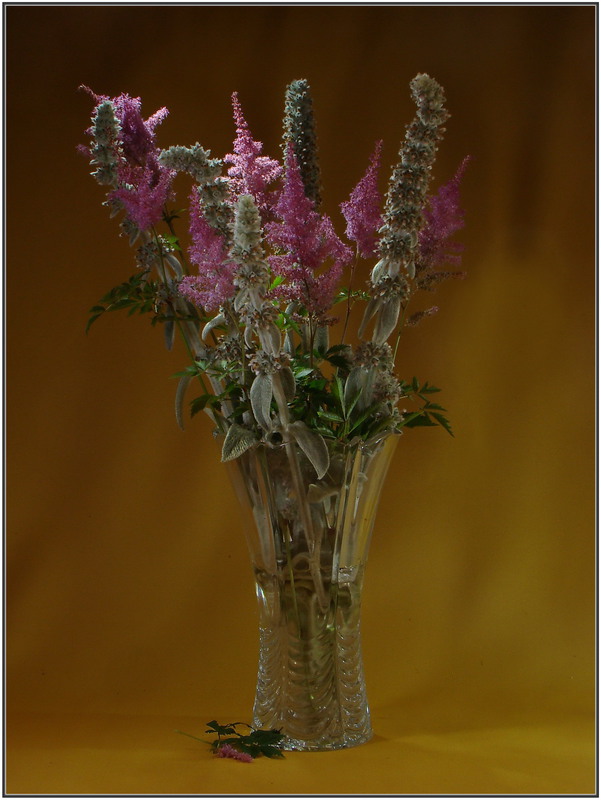 Фотографія ***** / Гал / photographers.ua