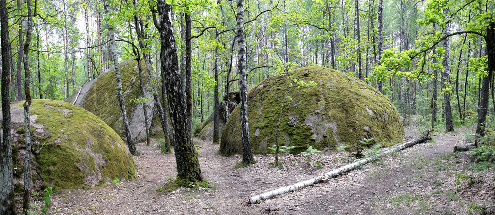 Фотографія "Камінне село" Житомирська обл. / Anatoliy Pohilyuk / photographers.ua