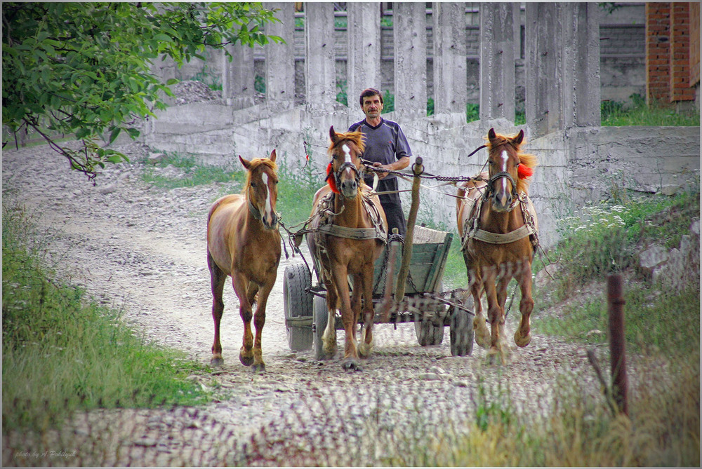 Фотографія **** / Anatoliy Pohilyuk / photographers.ua