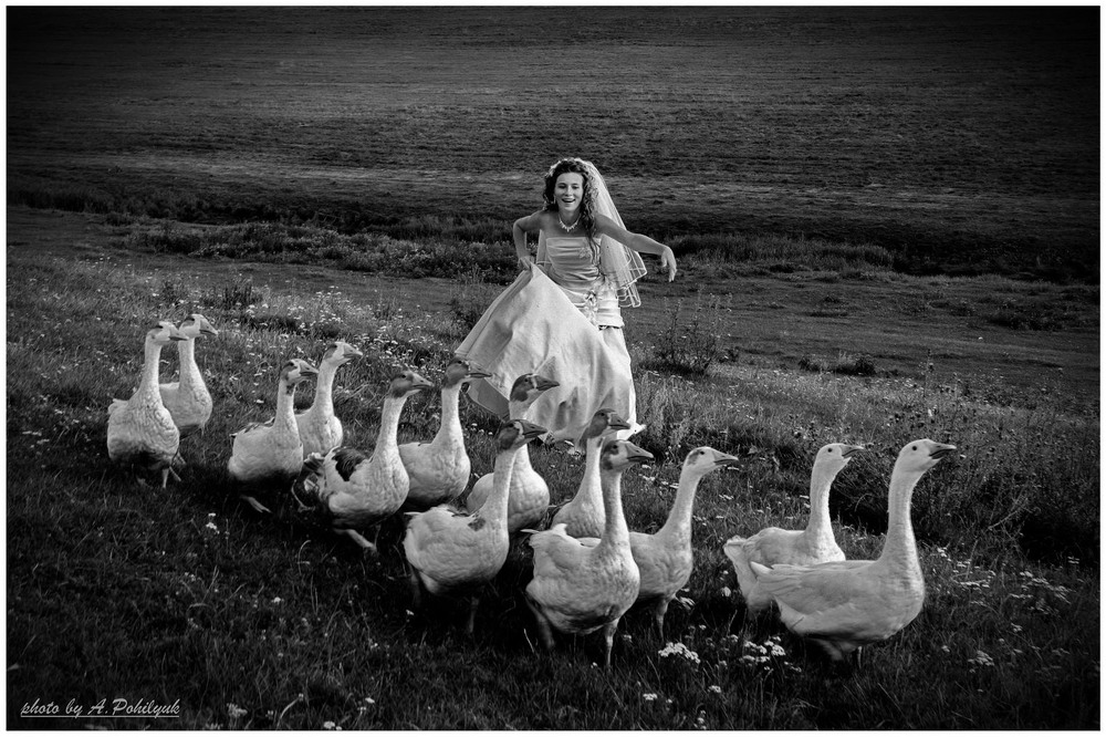 Фотографія **** / Anatoliy Pohilyuk / photographers.ua