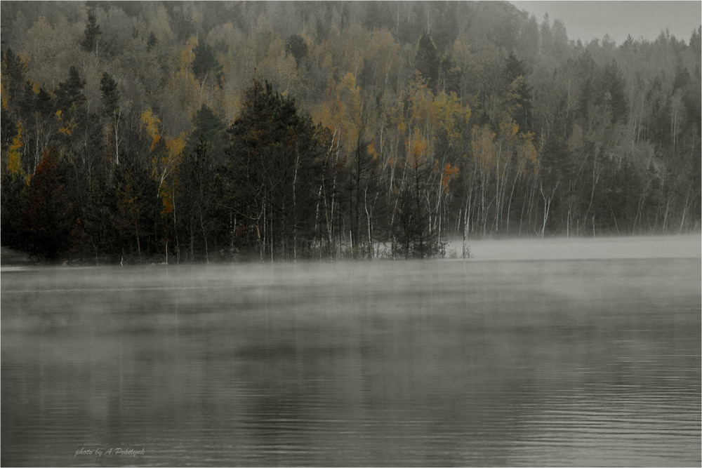 Фотографія **** / Anatoliy Pohilyuk / photographers.ua