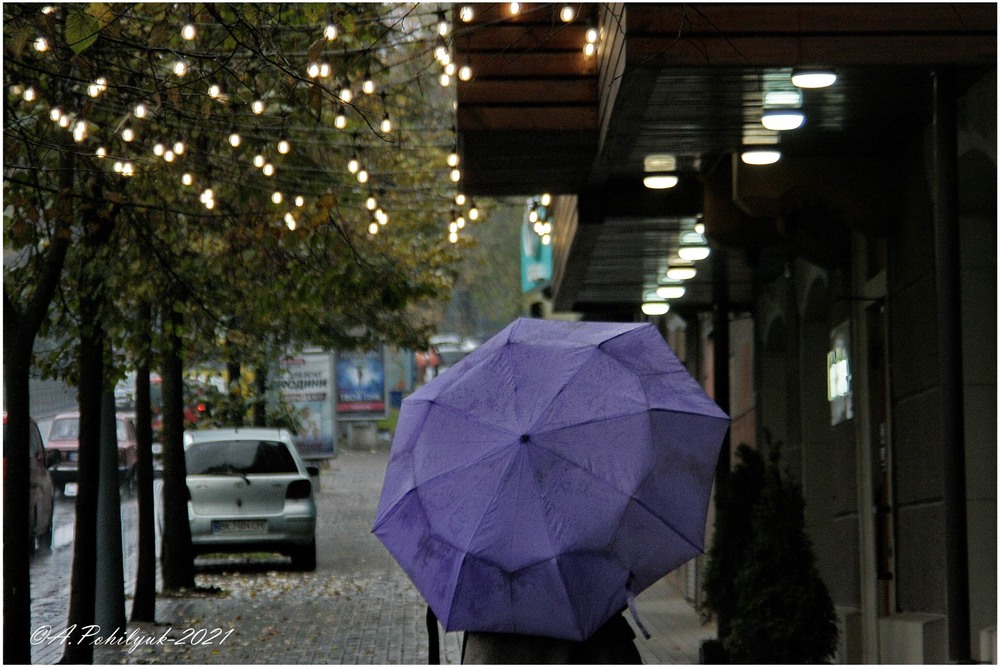 Фотографія Синя парасолька... / Anatoliy Pohilyuk / photographers.ua