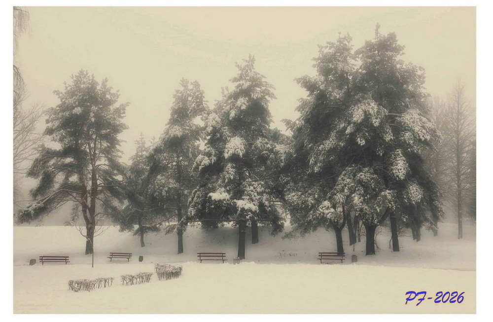 Фотографія З прийдешнім Новим роком 2026! Нехай він принесе мир, здоров’я та багато приємних новин. / Anatoliy Pohilyuk / photographers.ua