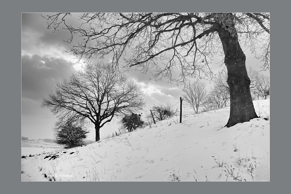 Фотографія **** / Anatoliy Pohilyuk / photographers.ua