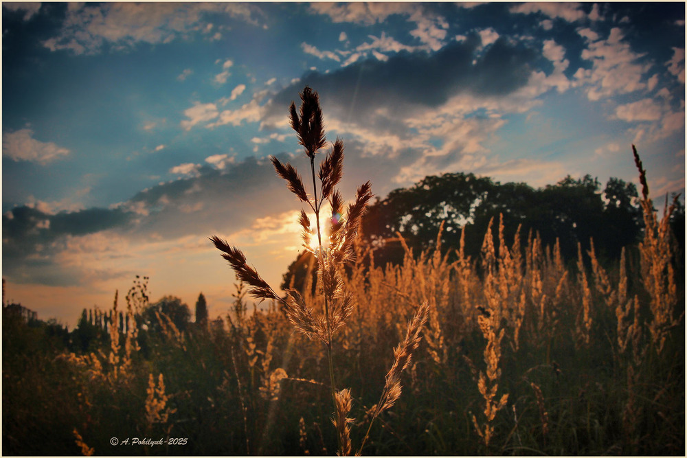 Фотографія **** / Anatoliy Pohilyuk / photographers.ua