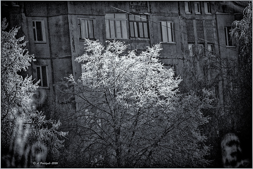 Фотографія **** / Anatoliy Pohilyuk / photographers.ua