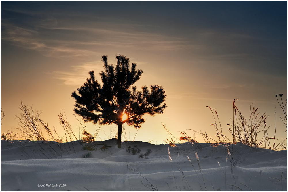 Фотографія **** / Anatoliy Pohilyuk / photographers.ua