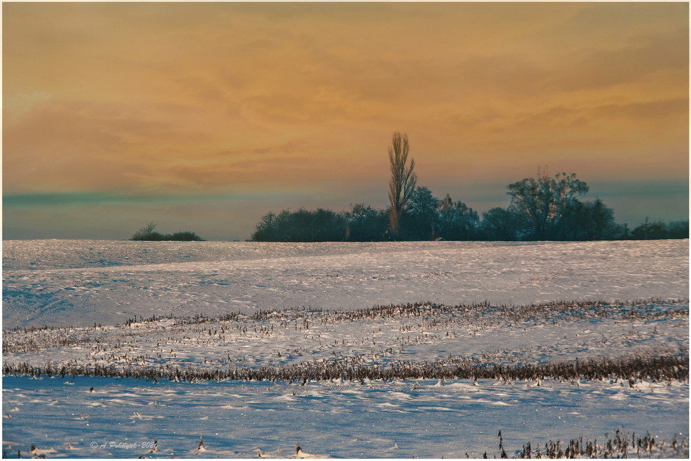 Фотографія **** / Anatoliy Pohilyuk / photographers.ua