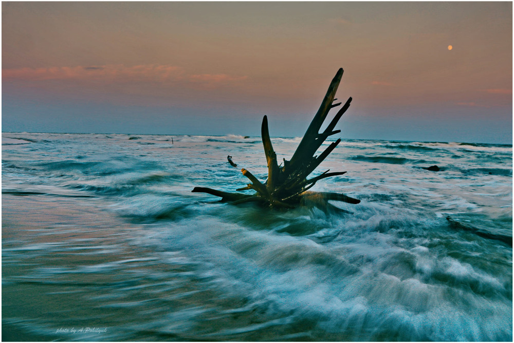 Фотографія **** / Anatoliy Pohilyuk / photographers.ua