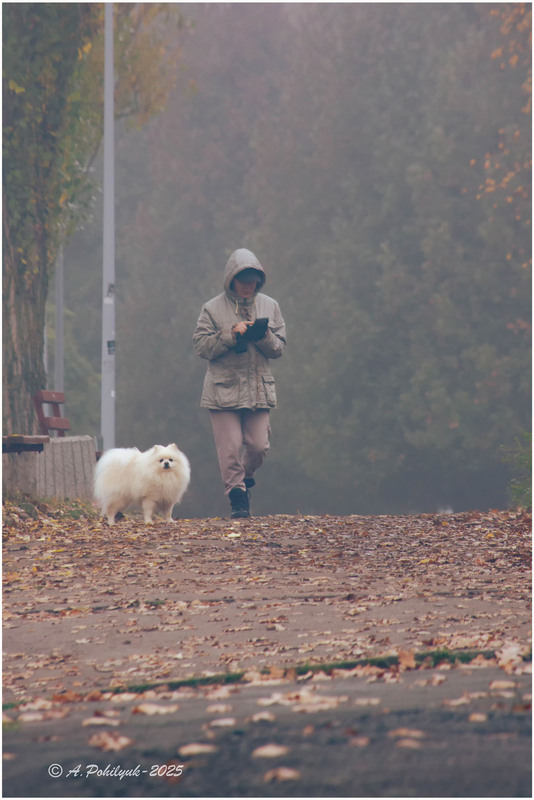 Фотографія **** / Anatoliy Pohilyuk / photographers.ua