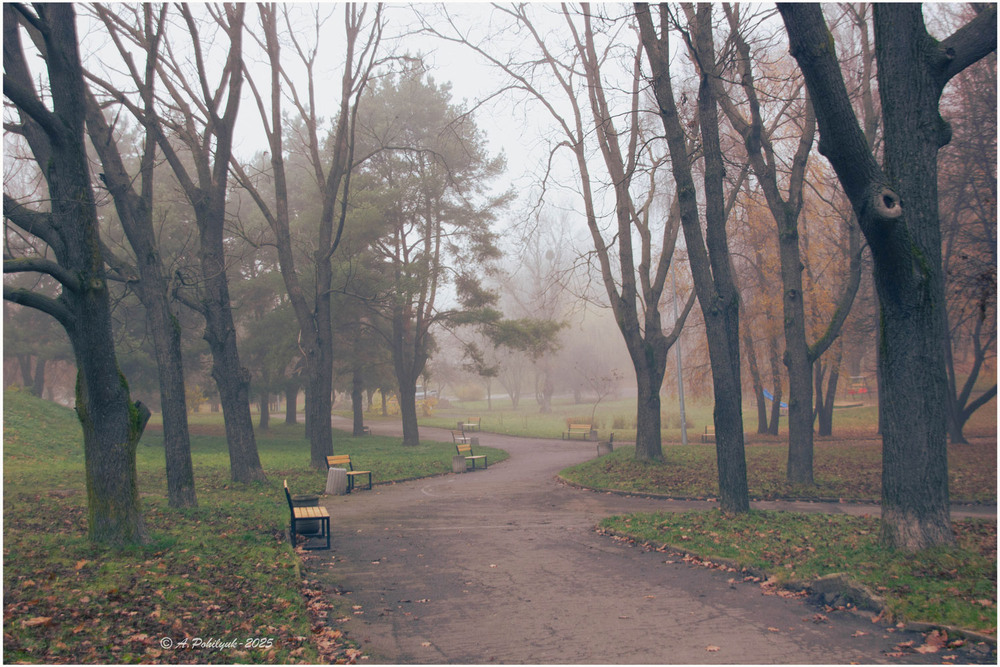 Фотографія **** / Anatoliy Pohilyuk / photographers.ua