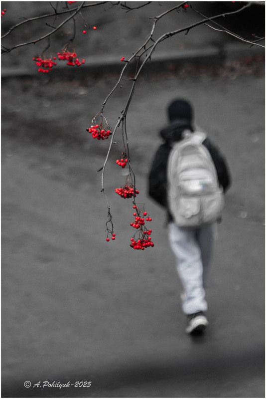 Фотографія **** / Anatoliy Pohilyuk / photographers.ua