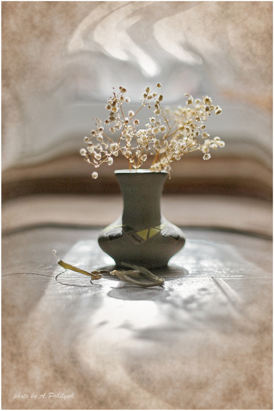 Фотографія **** / Anatoliy Pohilyuk / photographers.ua